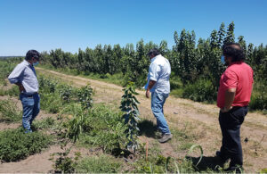 Reunión de productores