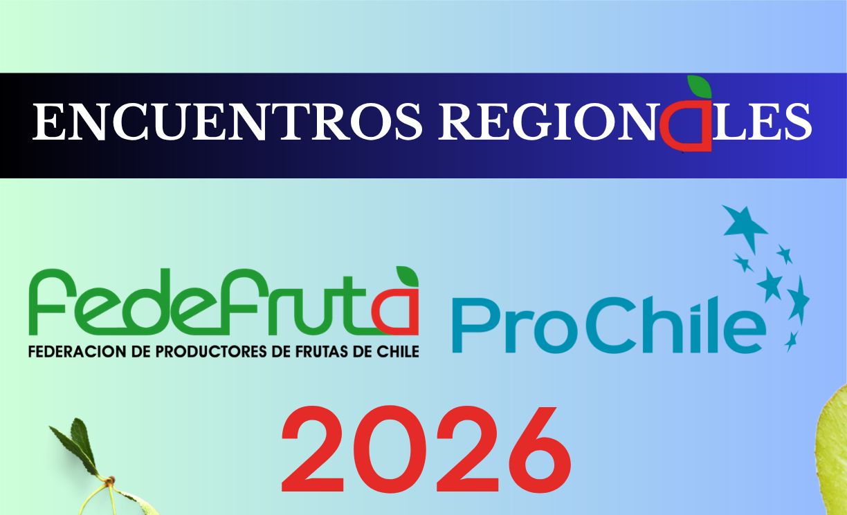 Encuentros Regionales
